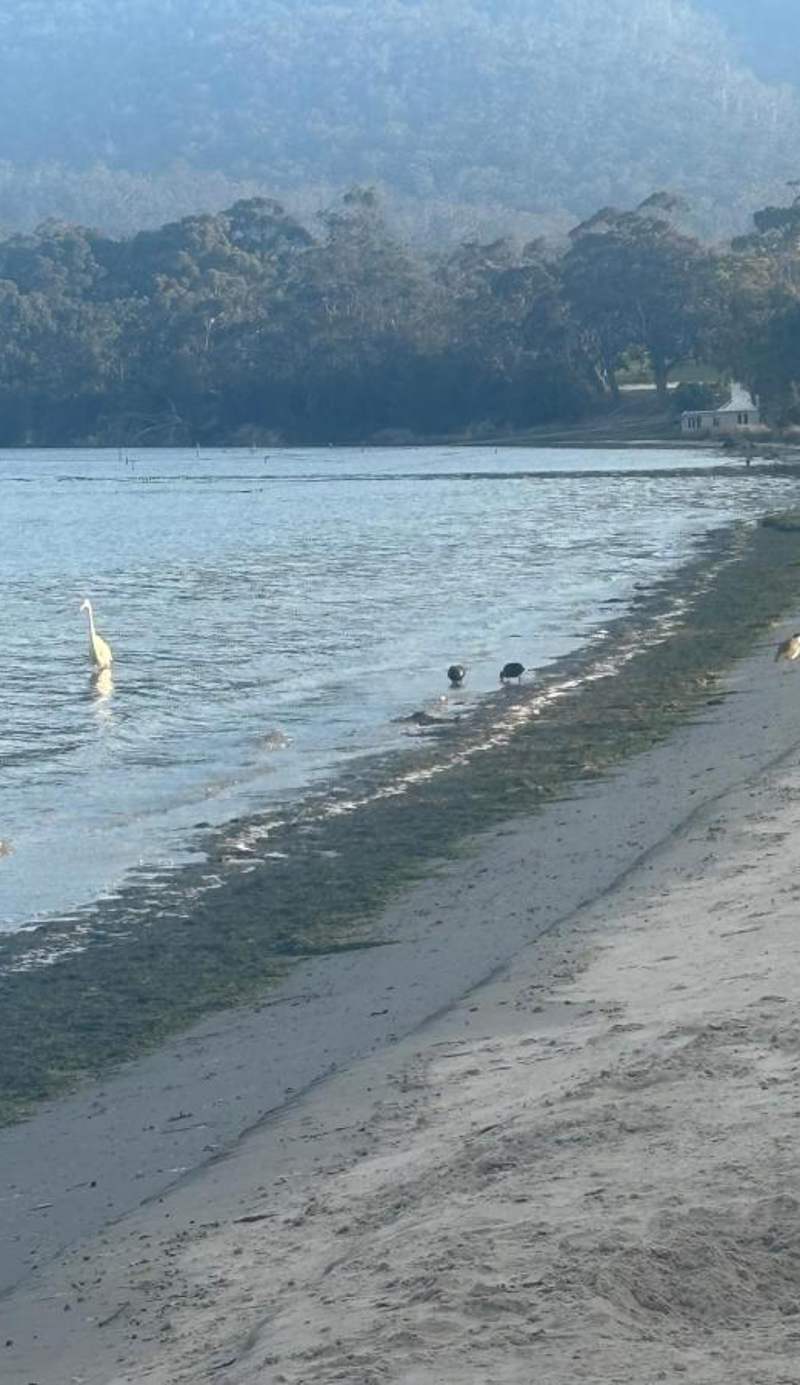 Tides Reach