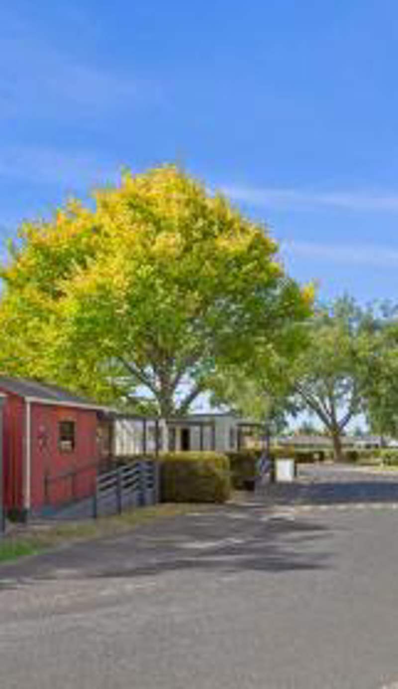 Hamilton City Holiday Park