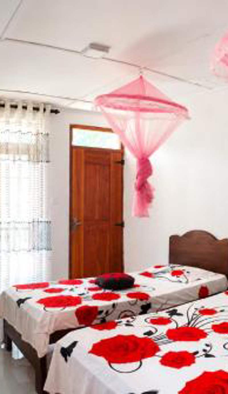Pleasure Mount Homestay