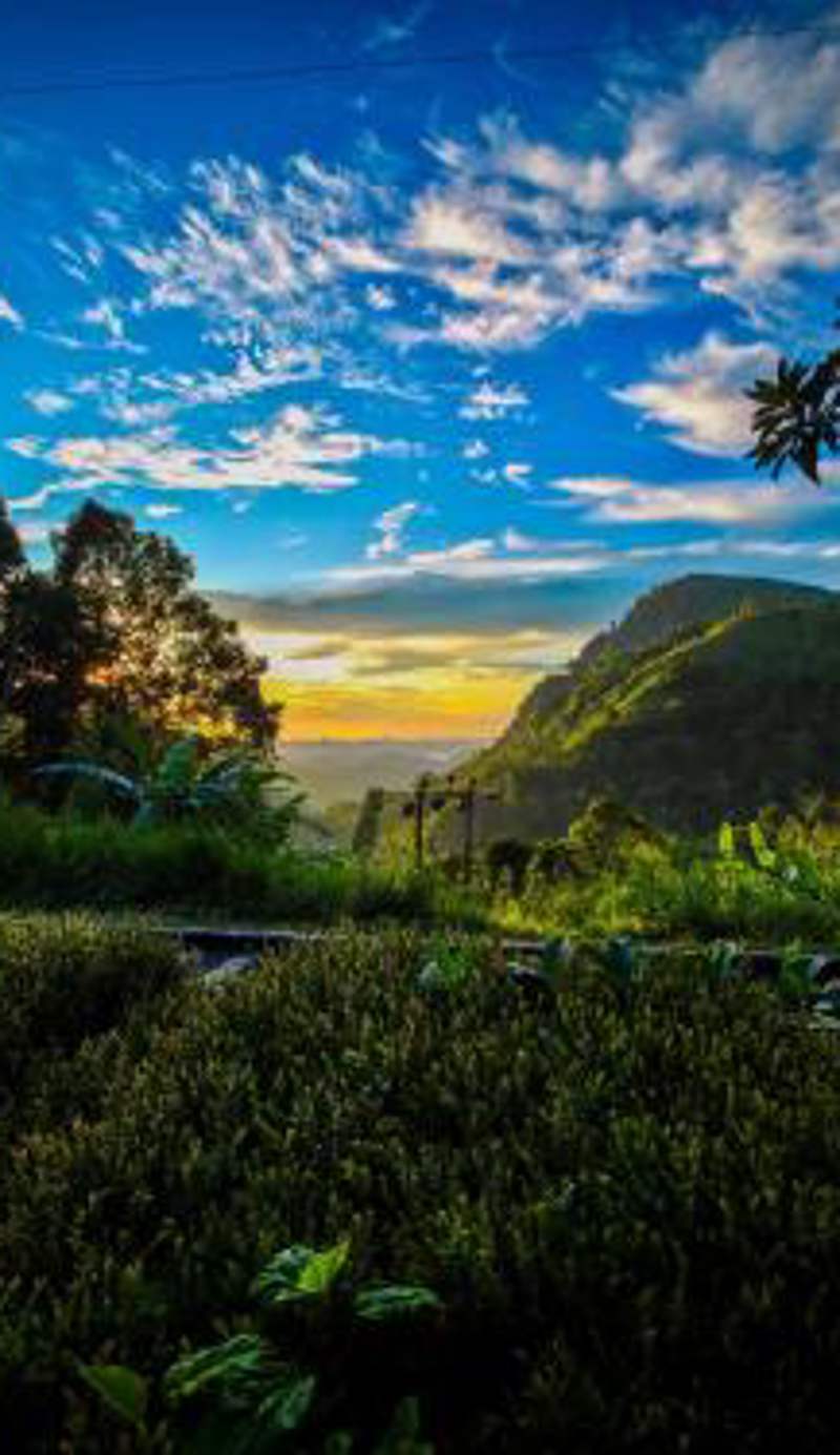 Ella Happy View Homestay