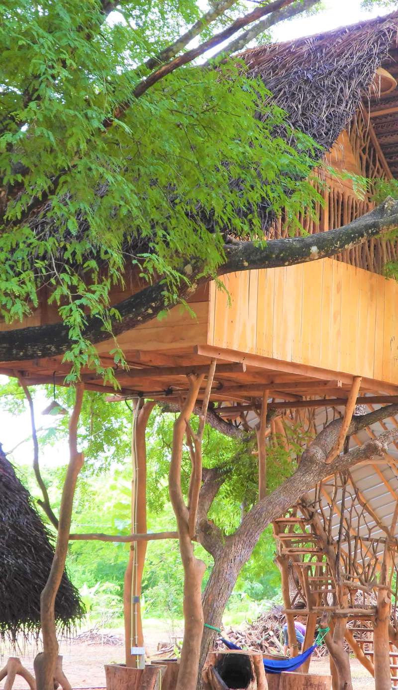 Yala Village Eco Tree House