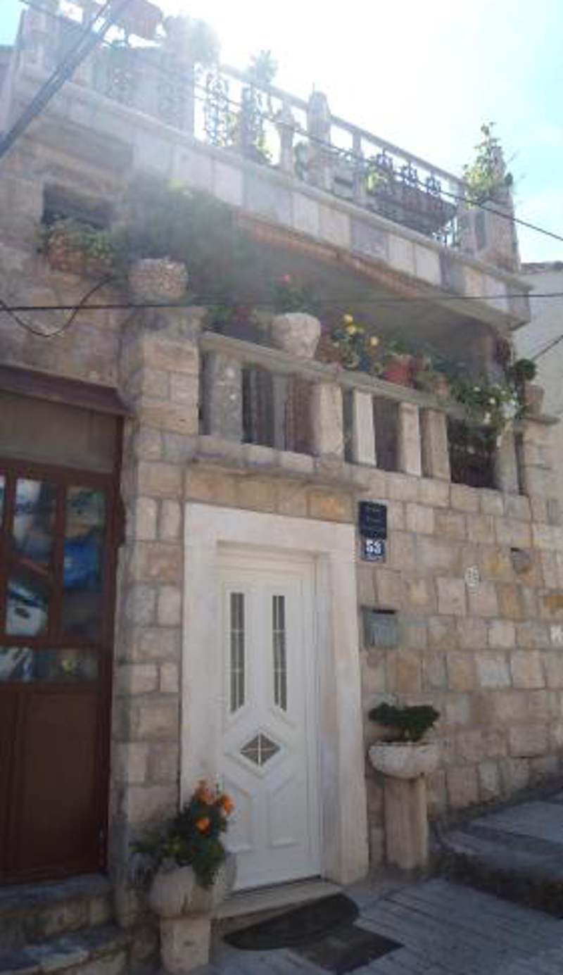 The Palm