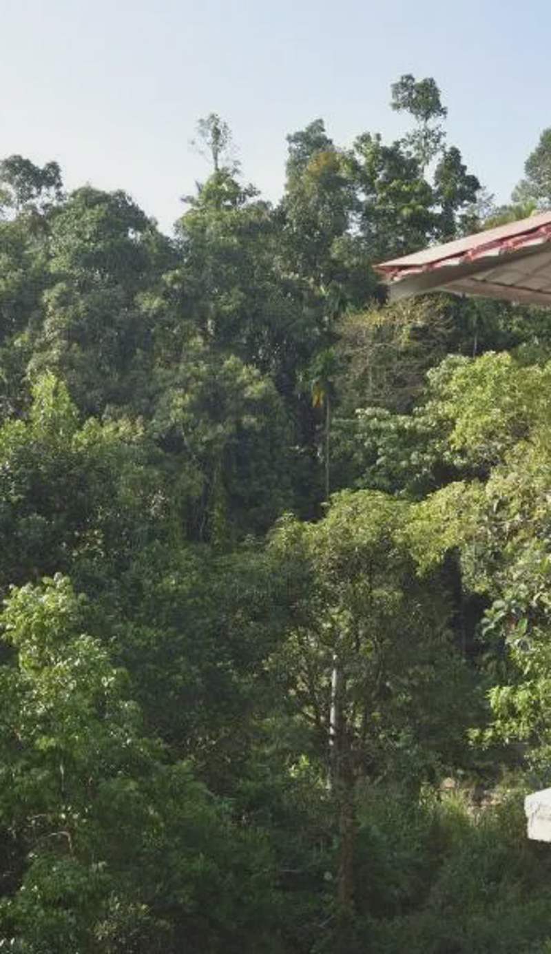 White Villa Kitulgala