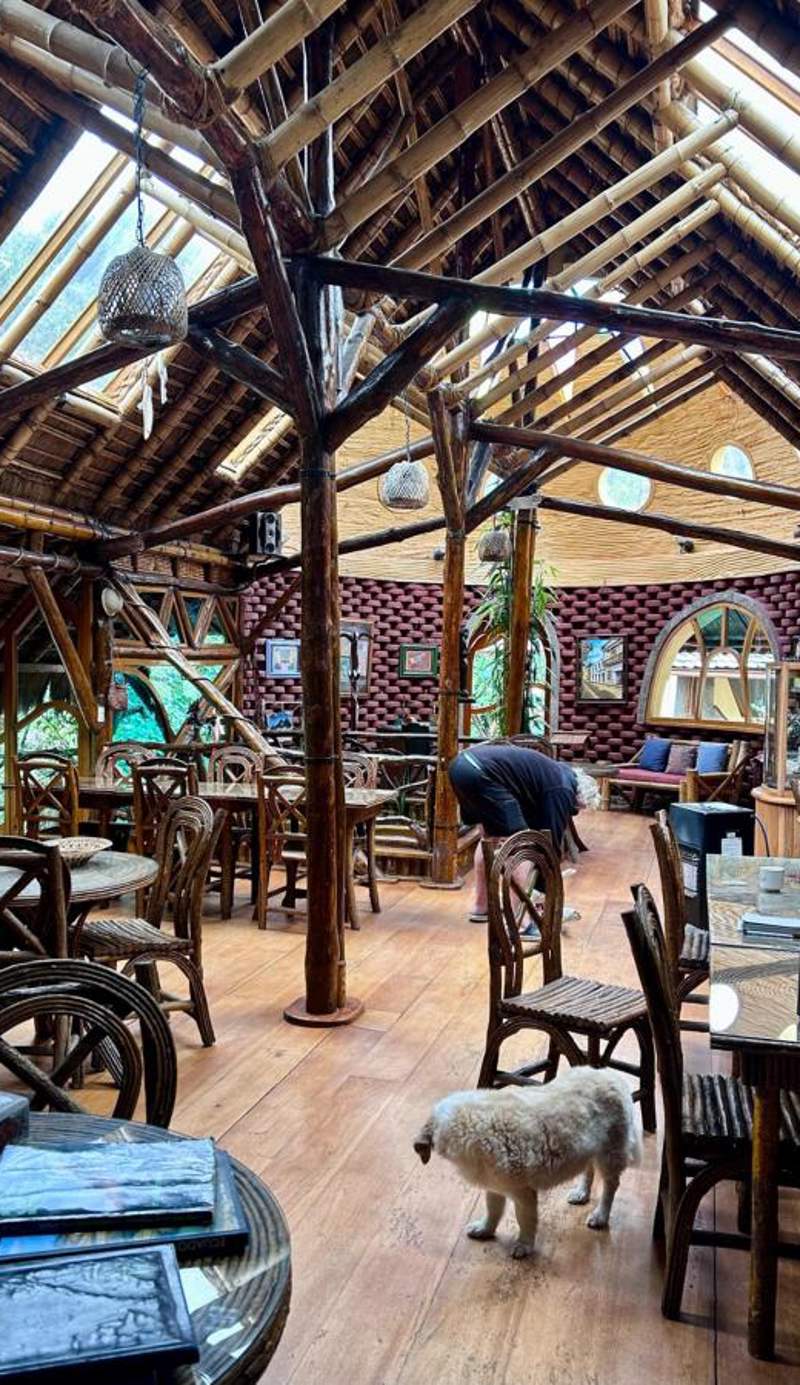 Finca Chamanapamba Guest House