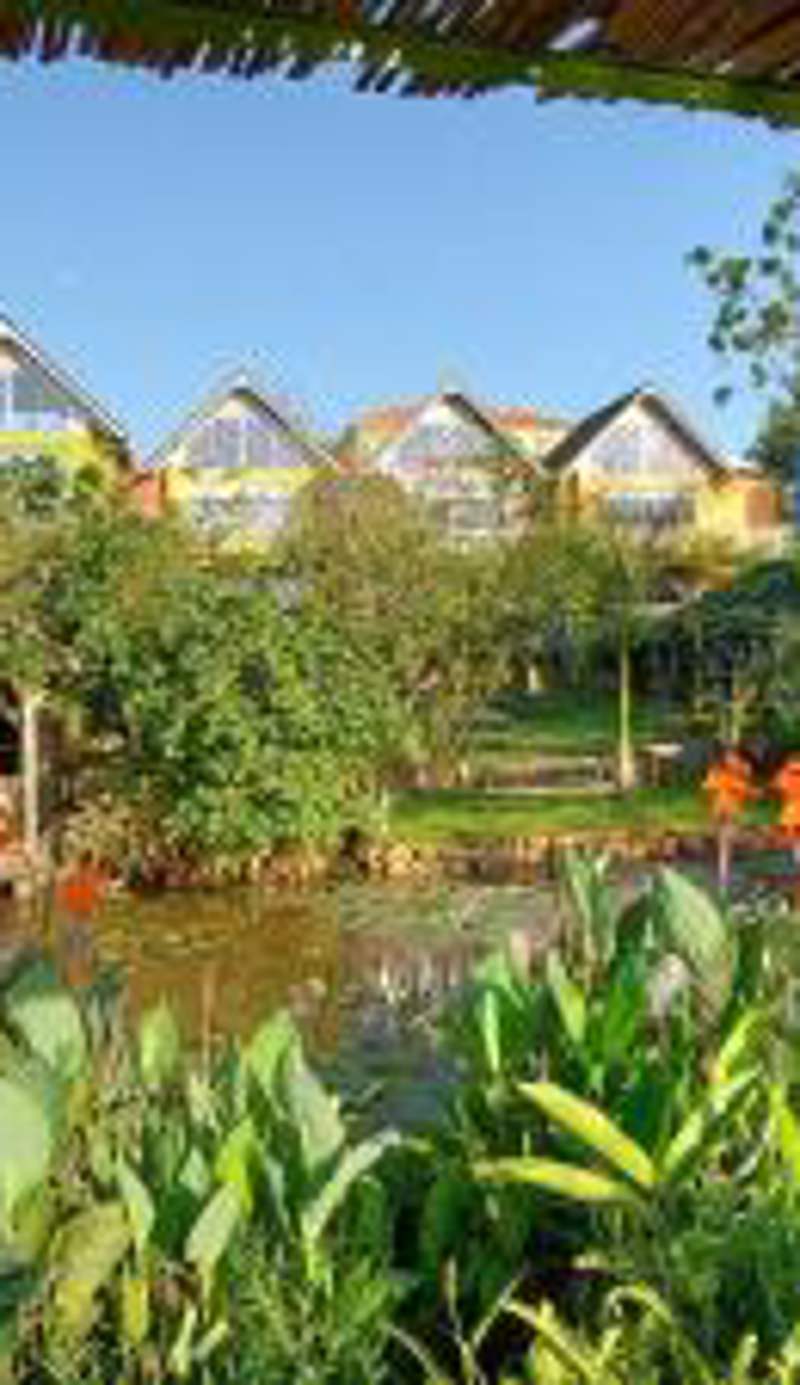 Yellow Haven Lodge