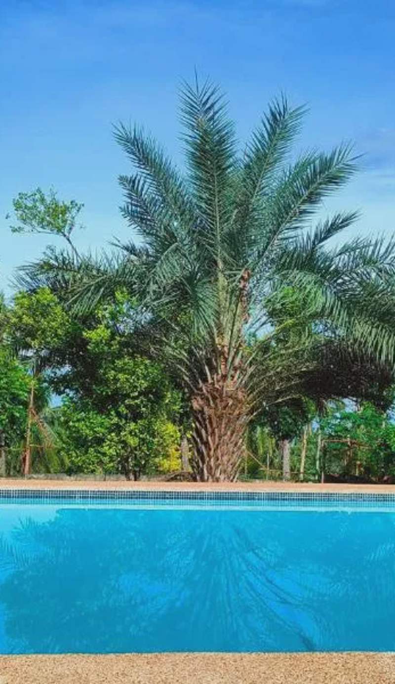 SBG Resort Lambug