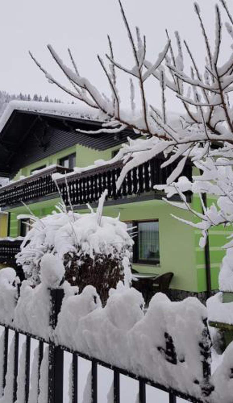 Zeleni apartma Zreče