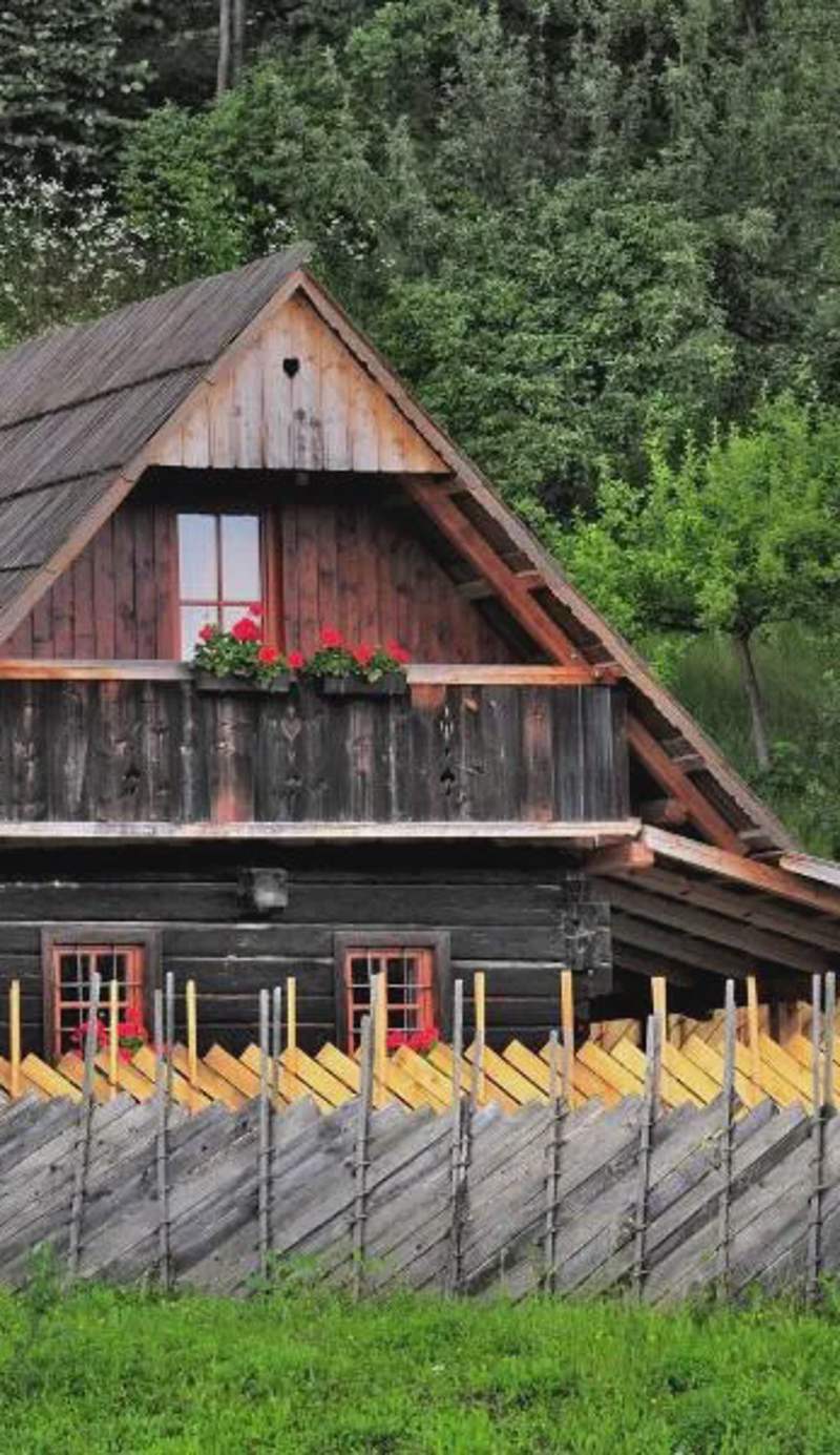 Eco tourist farm Mikl