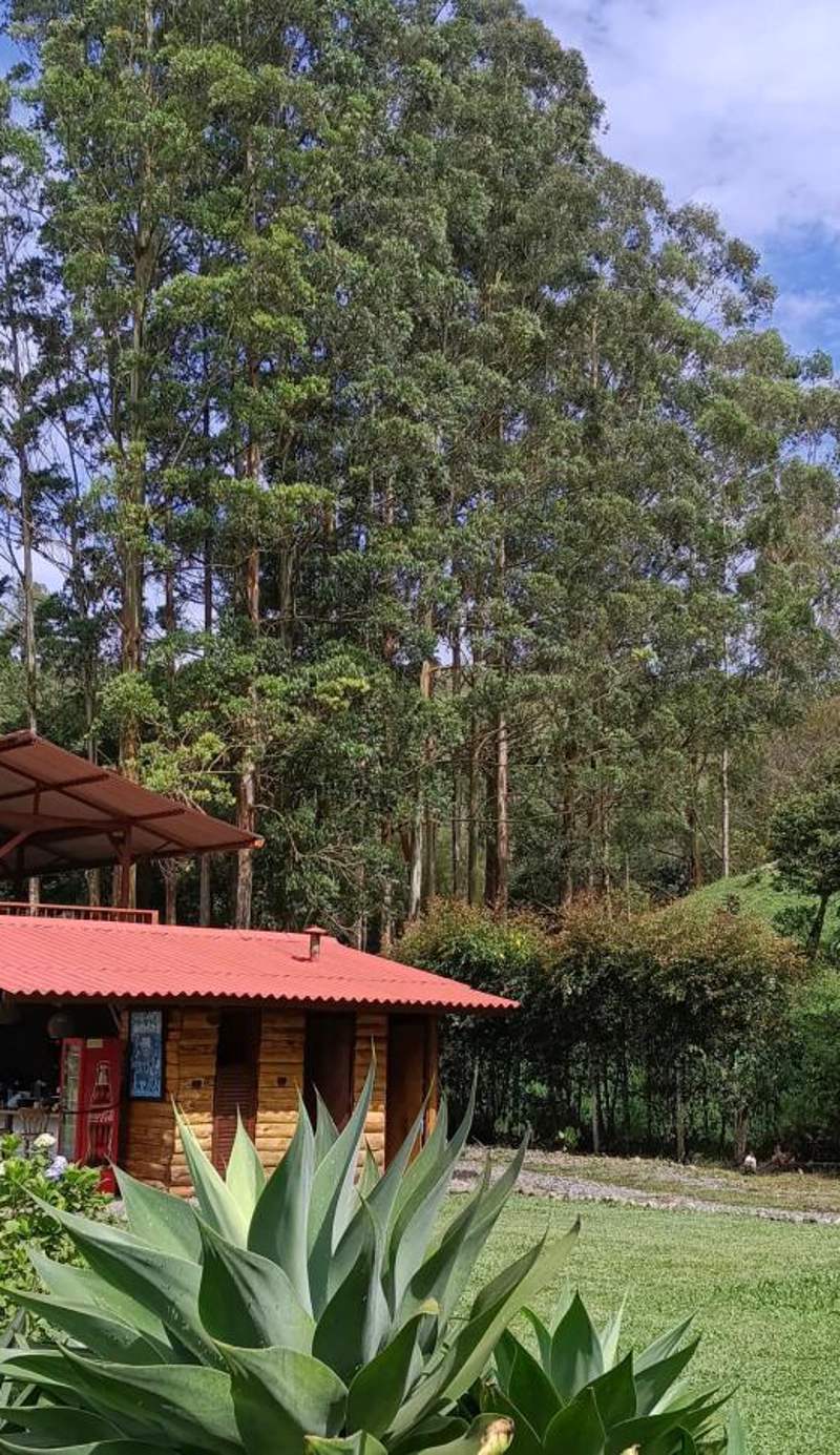Riverside La Masía Ecohotel