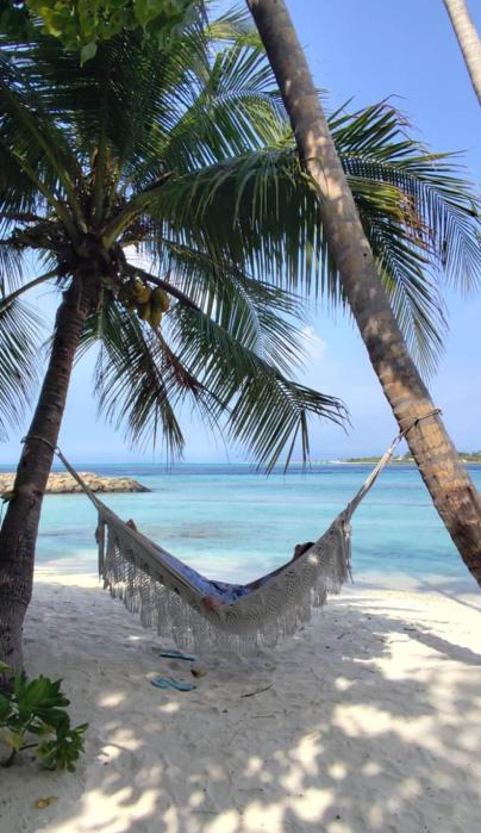 Batuta Maldives Inn