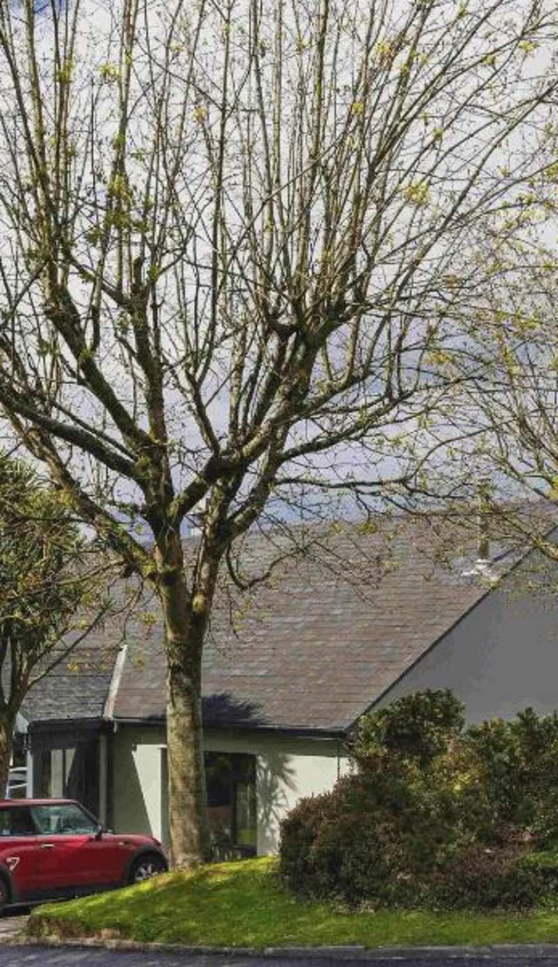 ibis Plymouth