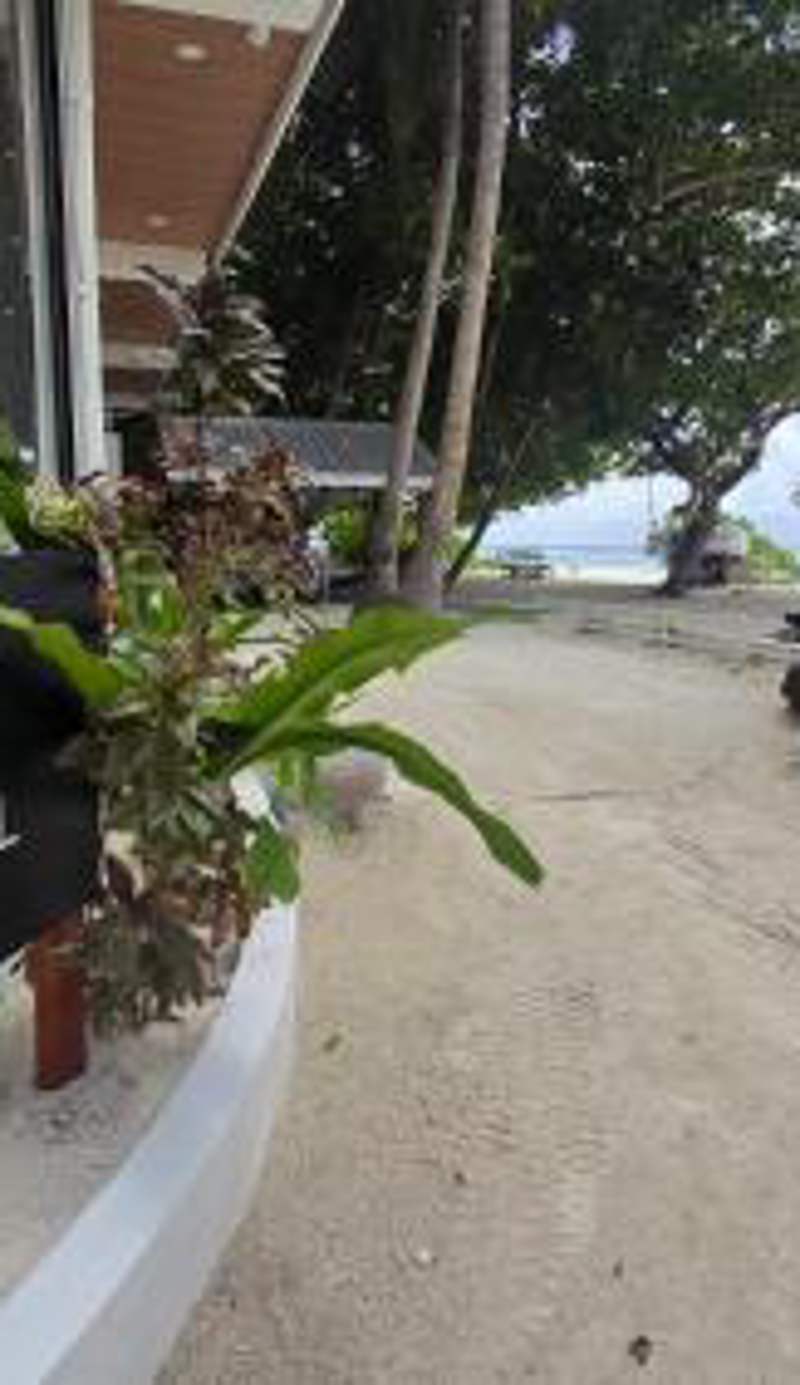 The Pearl Seaview