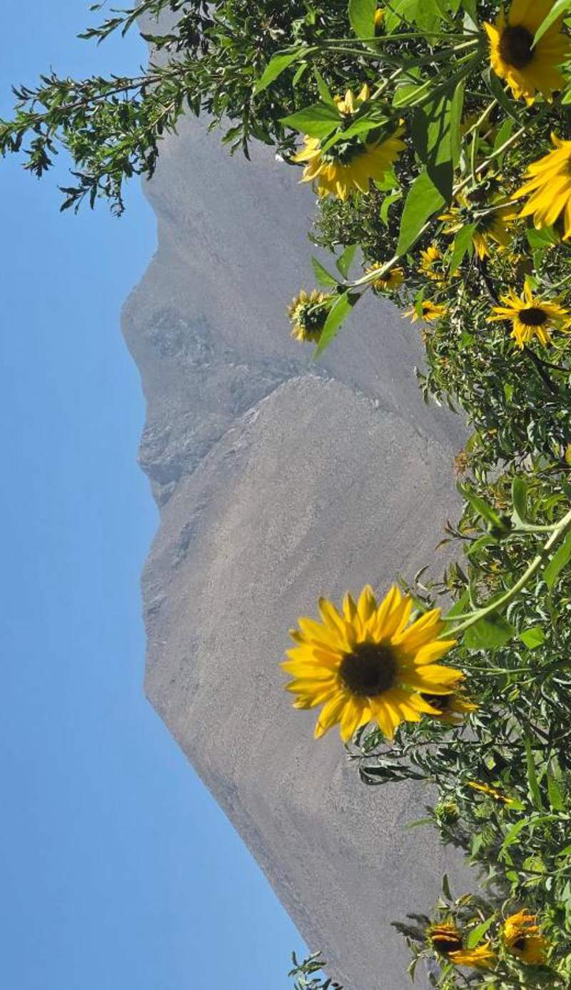 Cabaña Peralillo