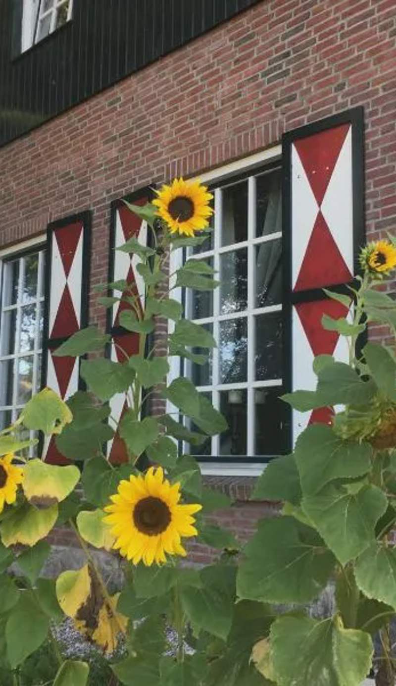 Erve Het Roolvink Boerderij Appartementen 40-50 M2