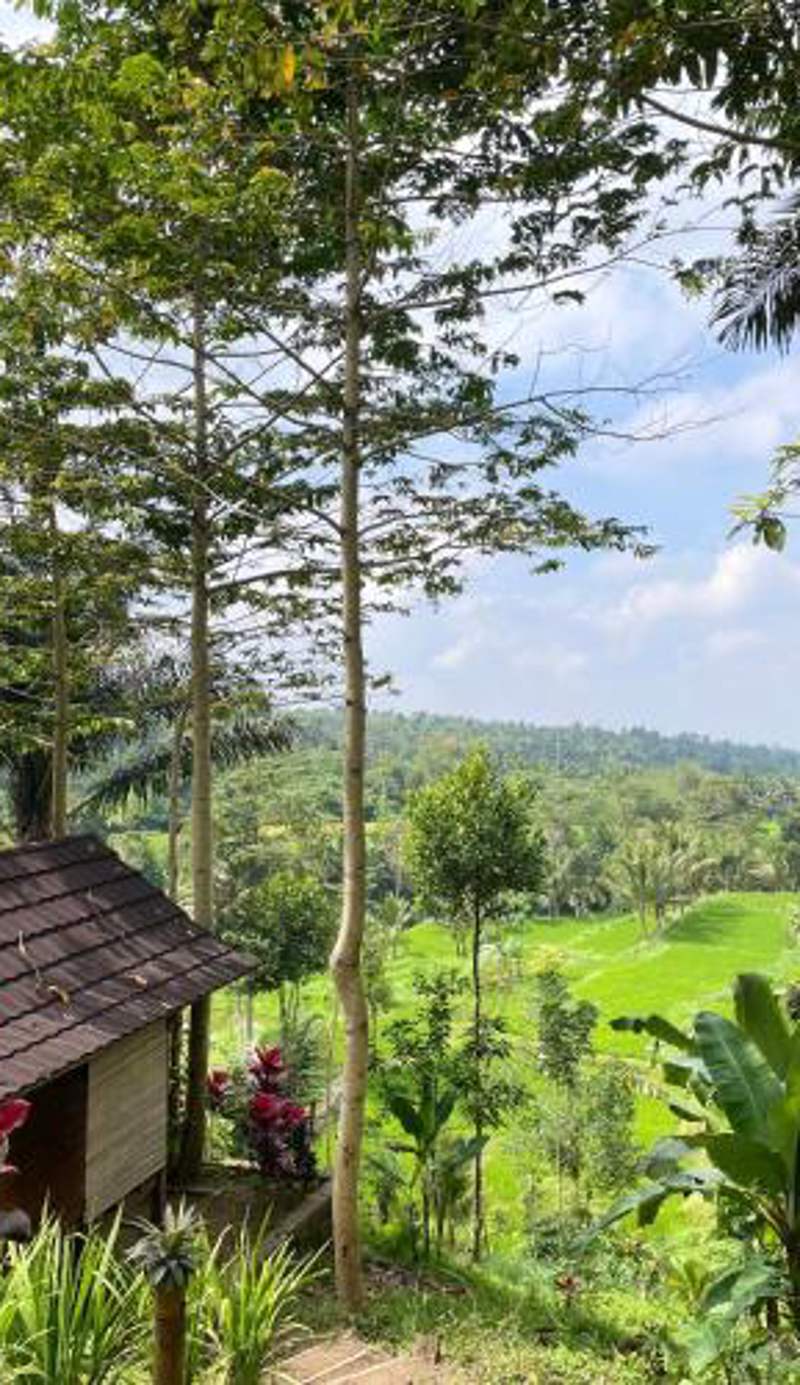 Serenity Lodge Tetebatu Lombok