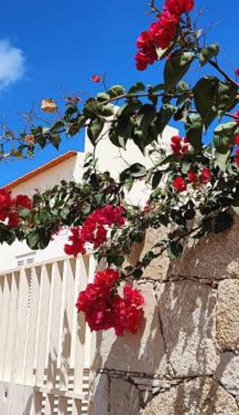 Casa Djarmai Apartments