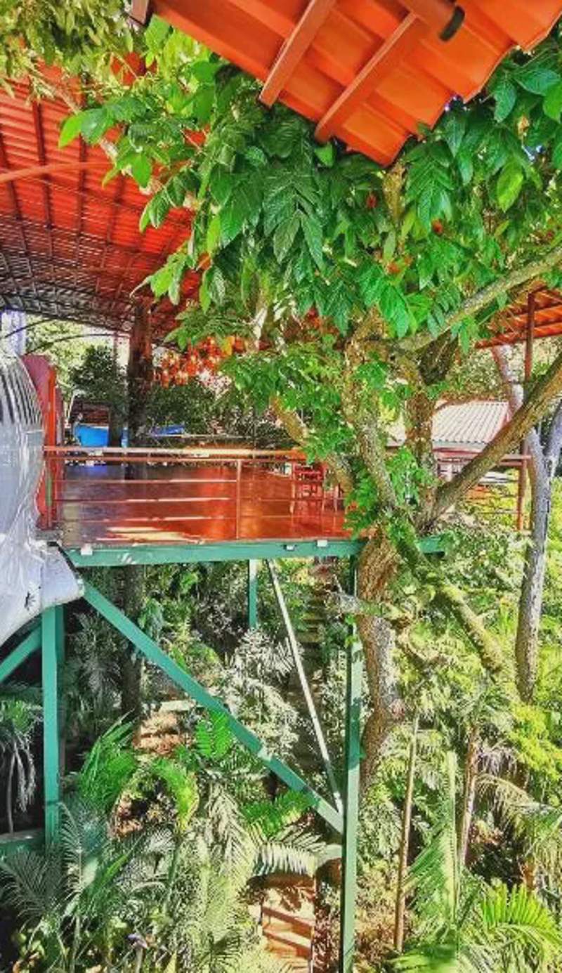 Hotel Costa Verde
