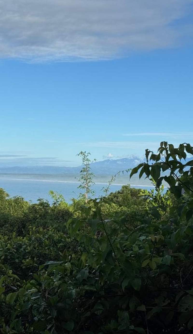 Tulemar Resort