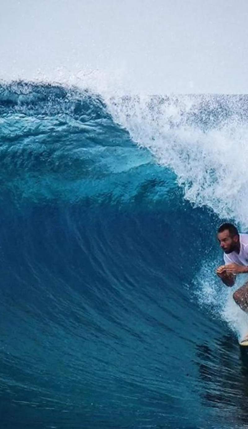 Molar Wave