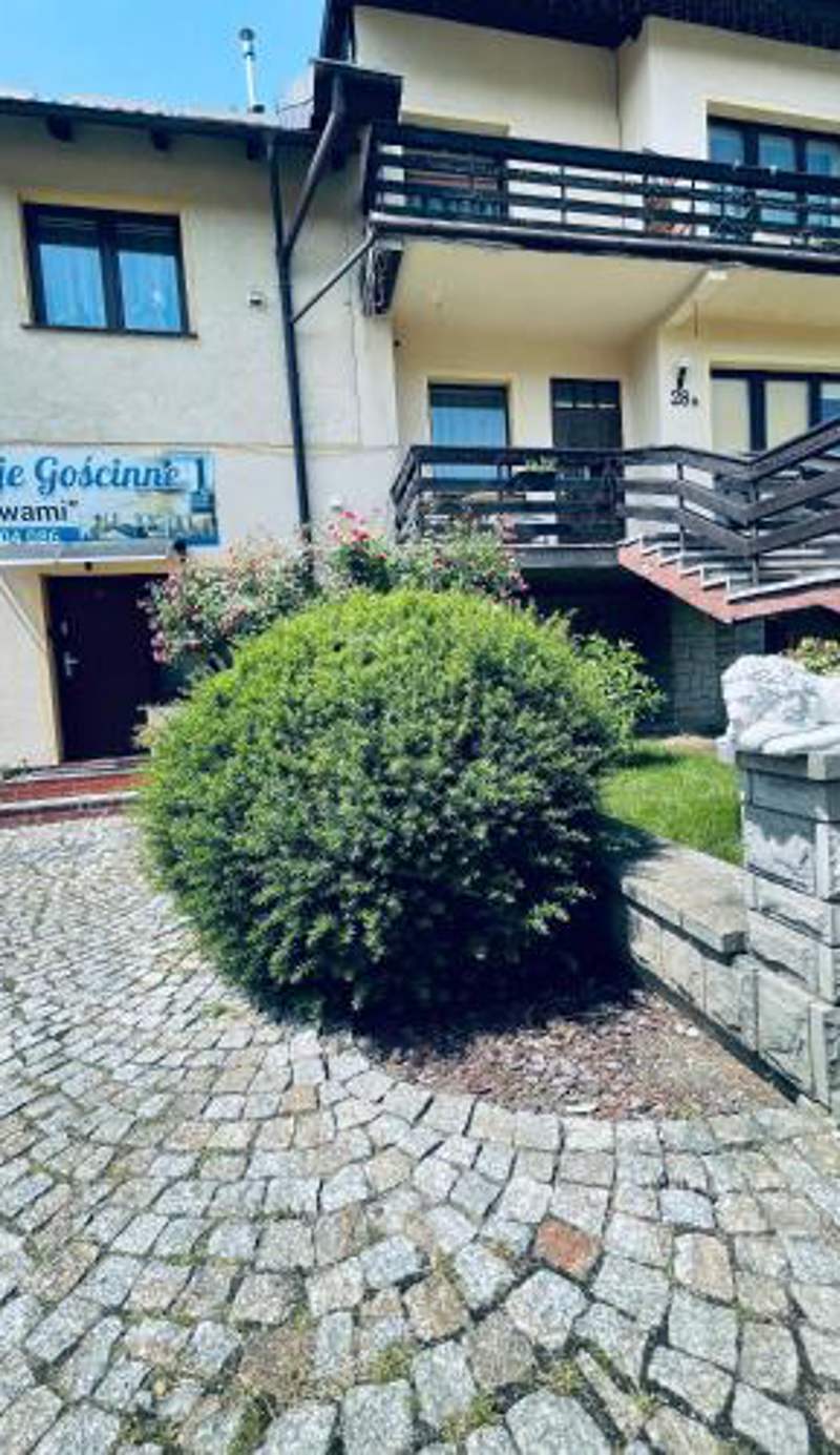 Apartamenty Pod Lwami