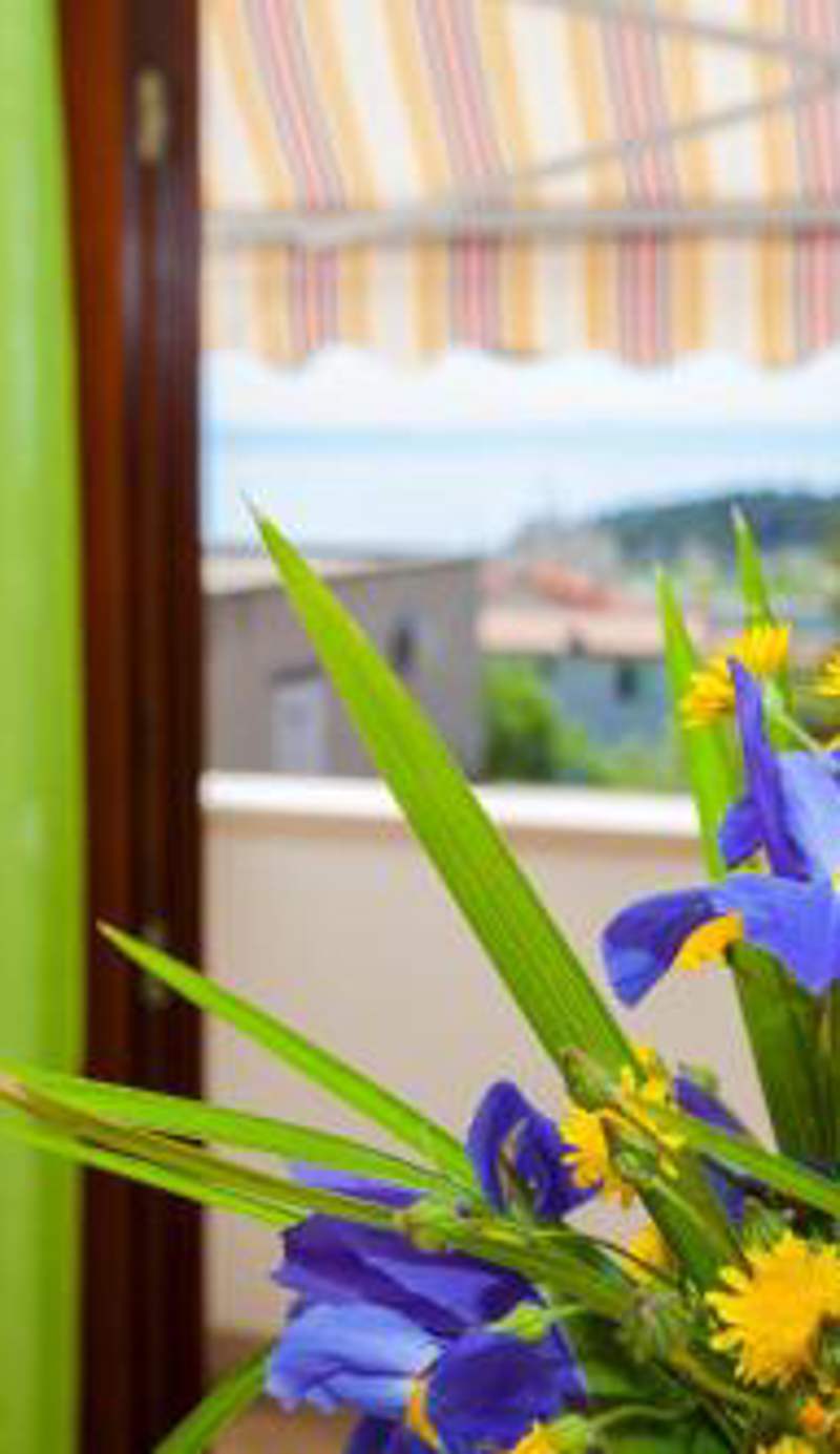Apartmani Centar Makarska
