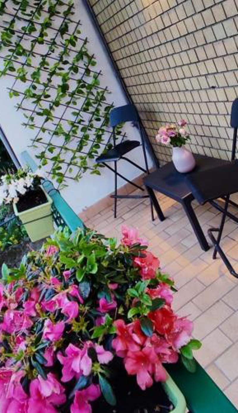 Melody's House