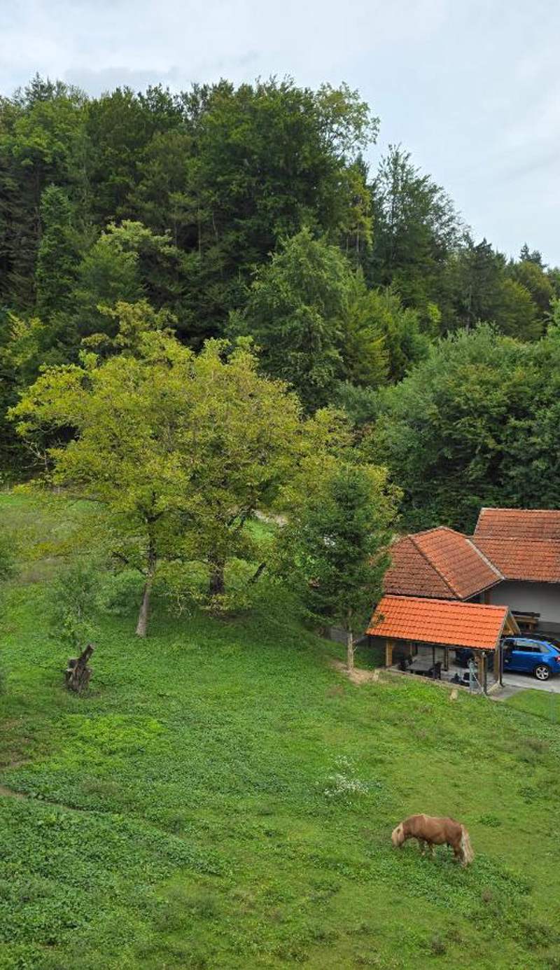 Domačija Vodnik & Apartments