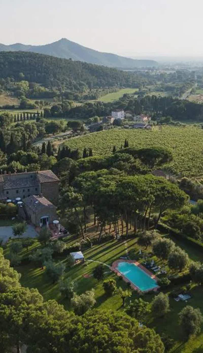 Il Maggese
