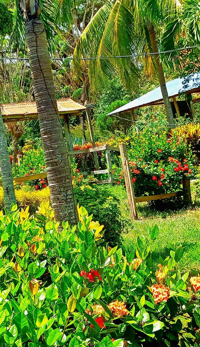 Finca Magdalena Eco-lodge