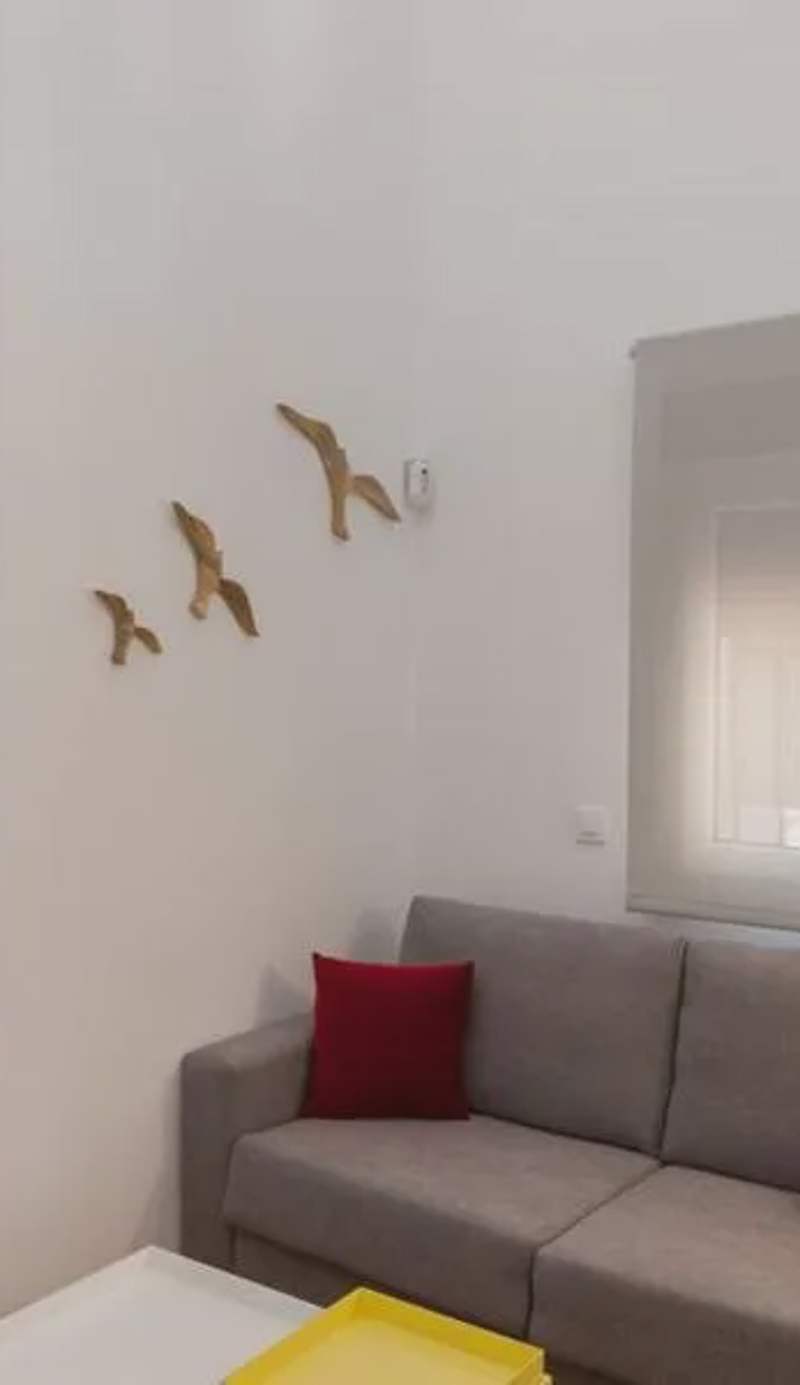 El Duplex de Barrocal