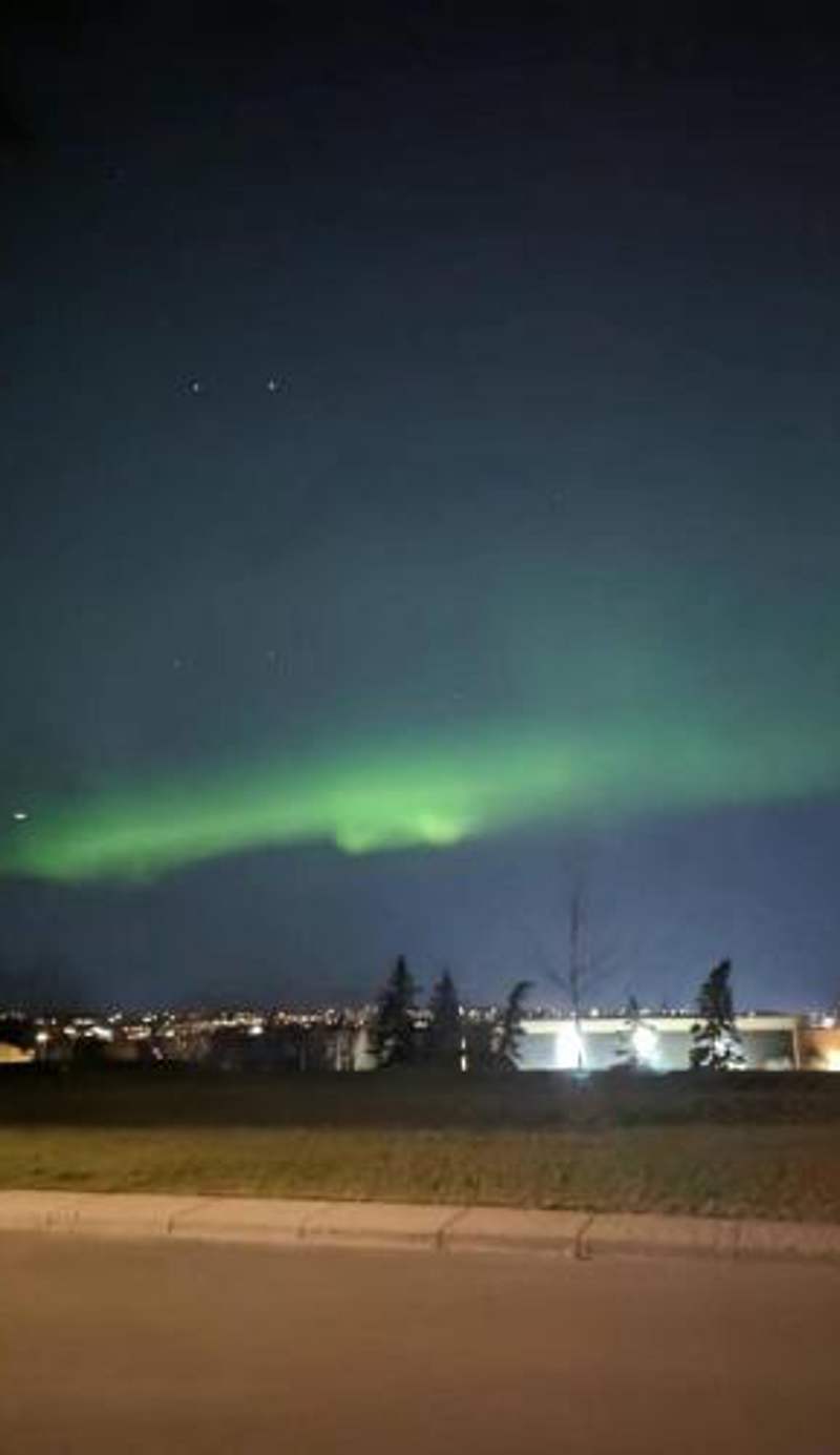Calgary Star Cozy Home