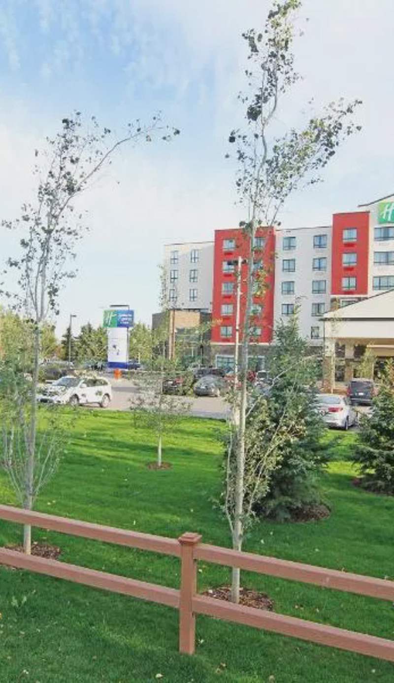 Holiday Inn Express and Suites Calgary University by IHG