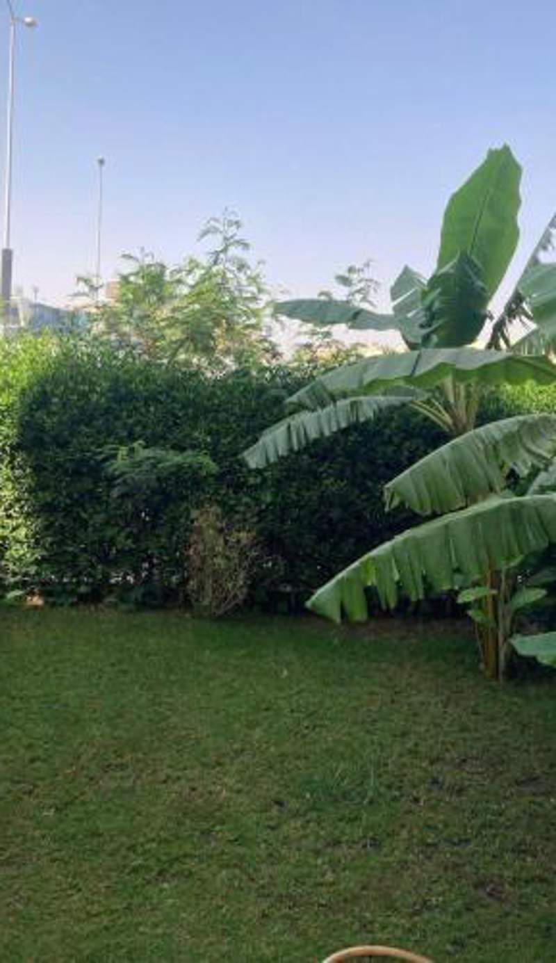 Entire Apartment with Garden