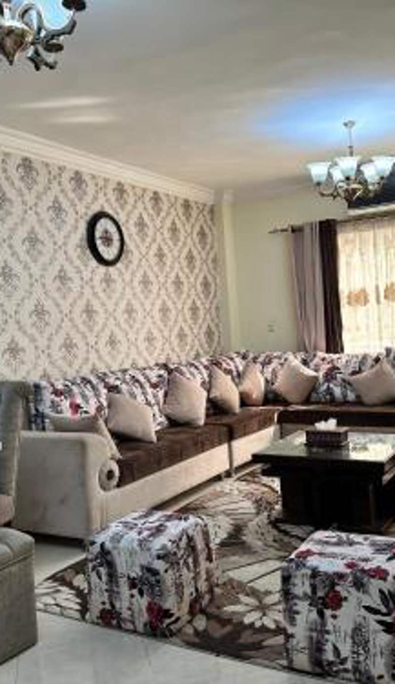 Luxury apartment in Sheikh Zayed City