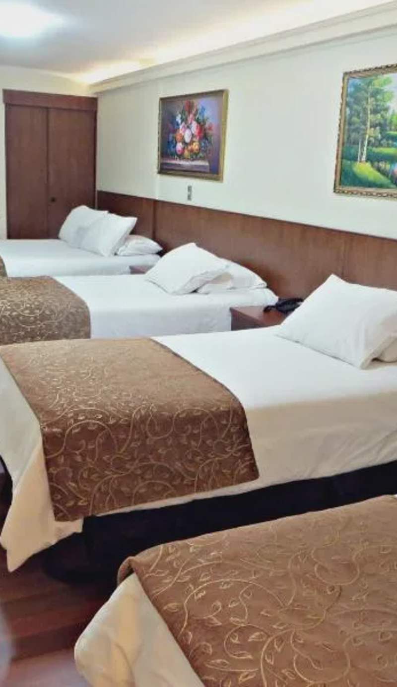 Hotel Newen