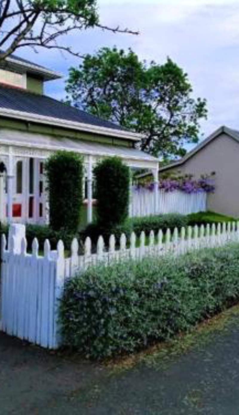 Designer Cottage