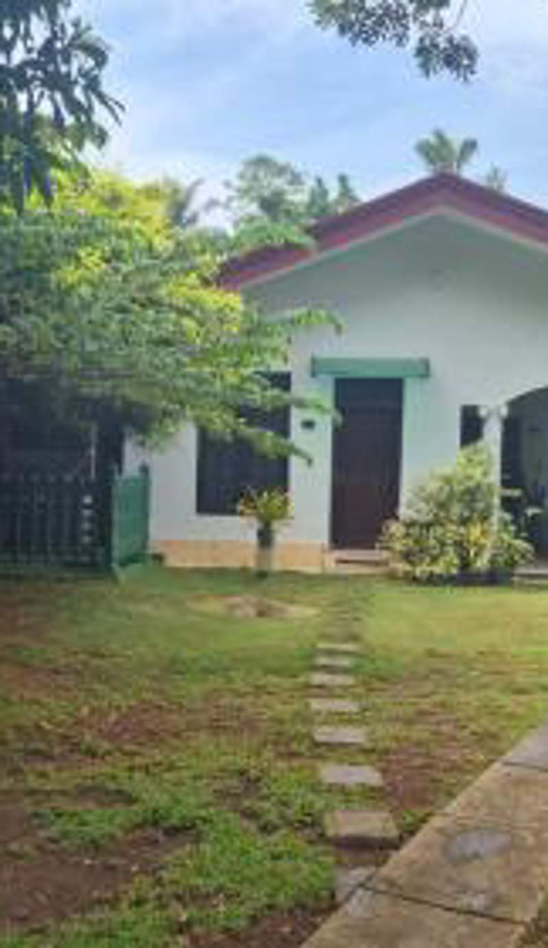 The Green Weligama