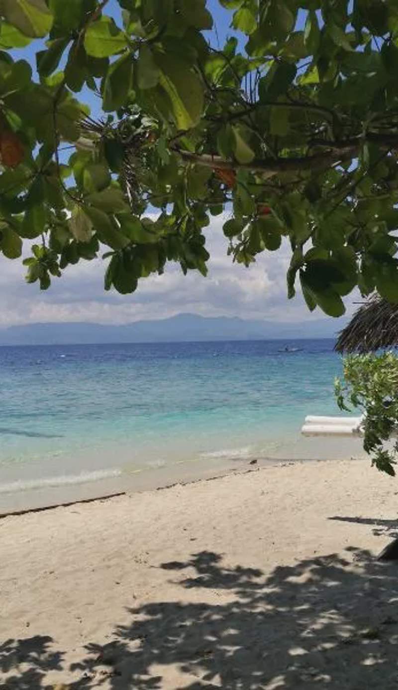 Ravenala Beach Bungalows