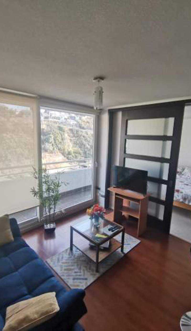Departamento central Viña del Mar