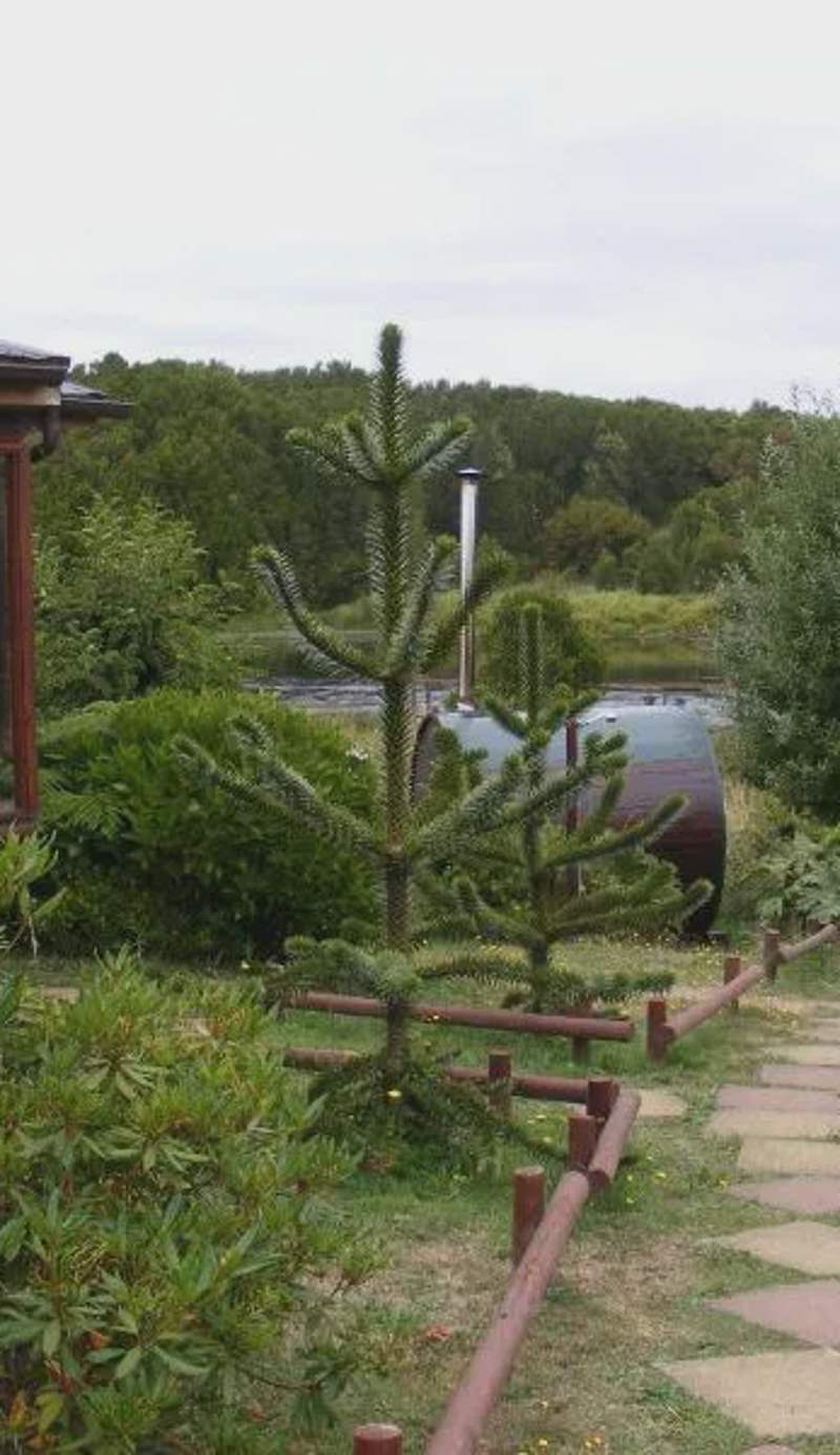 Rio Maullin Lodge