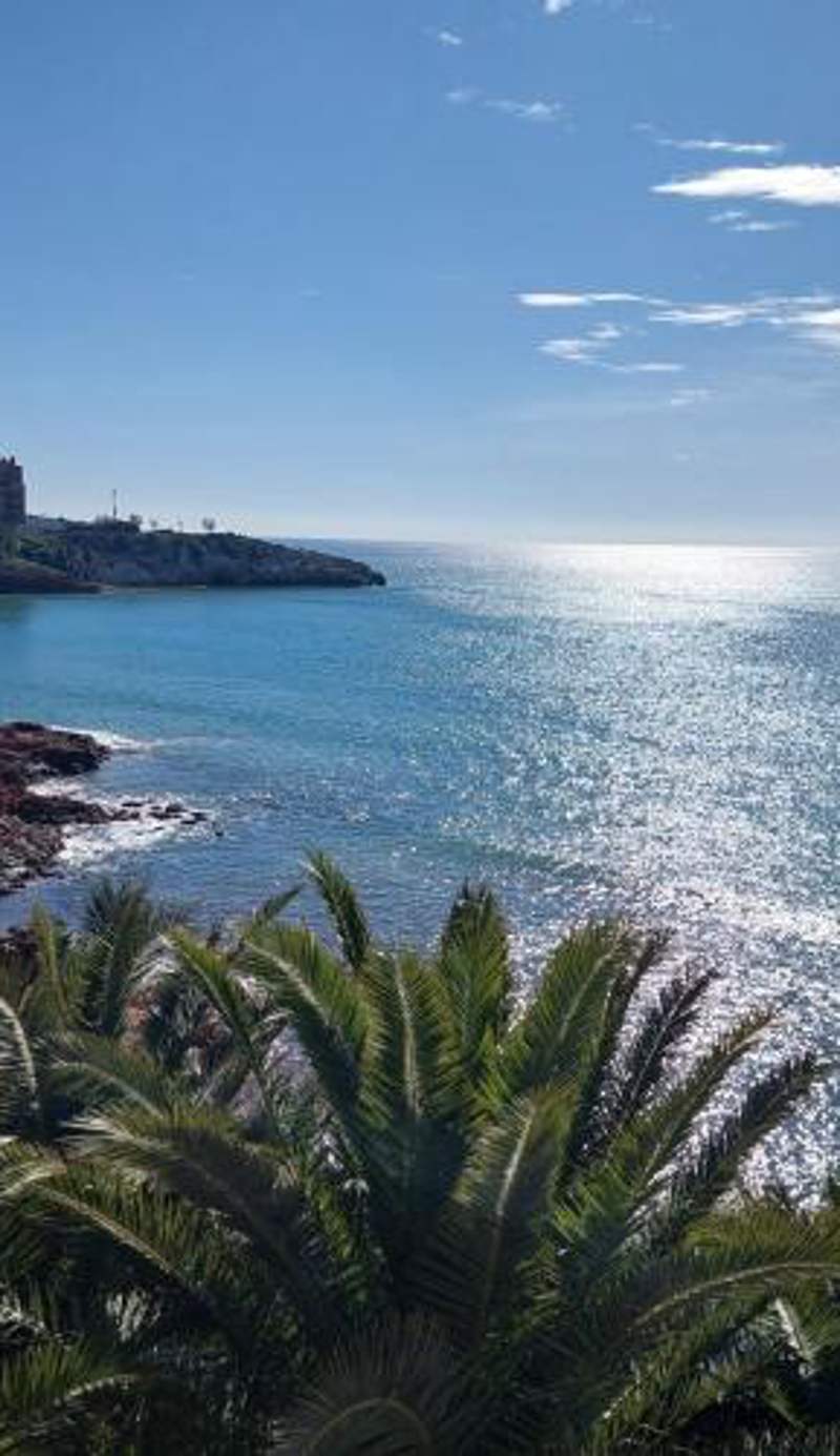 Morning Coffee by the Sea 1 BR Between Capellans and Llevant Beaches