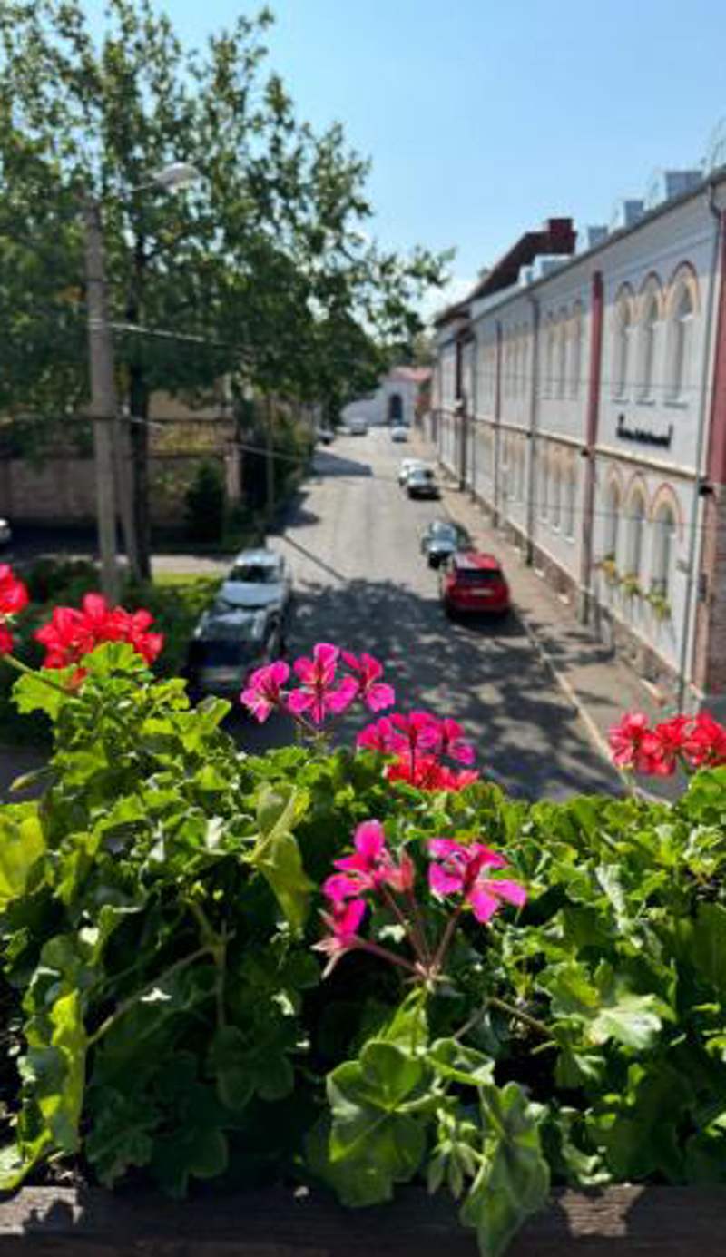 Õhtu Põik 4 City Center Apartment