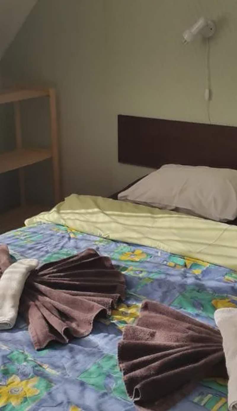 Terve Hostel