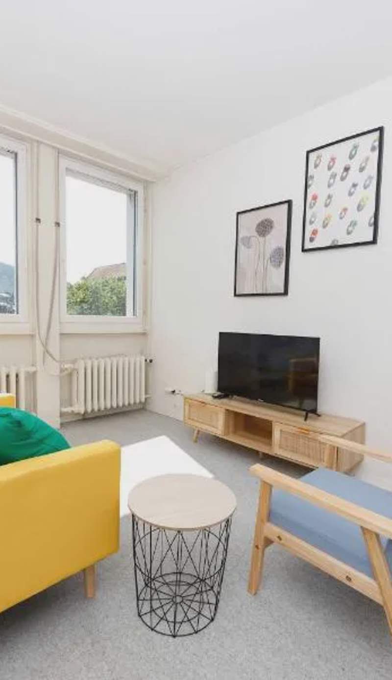 Basic & Cozy Zurich Studio Central & Walkable