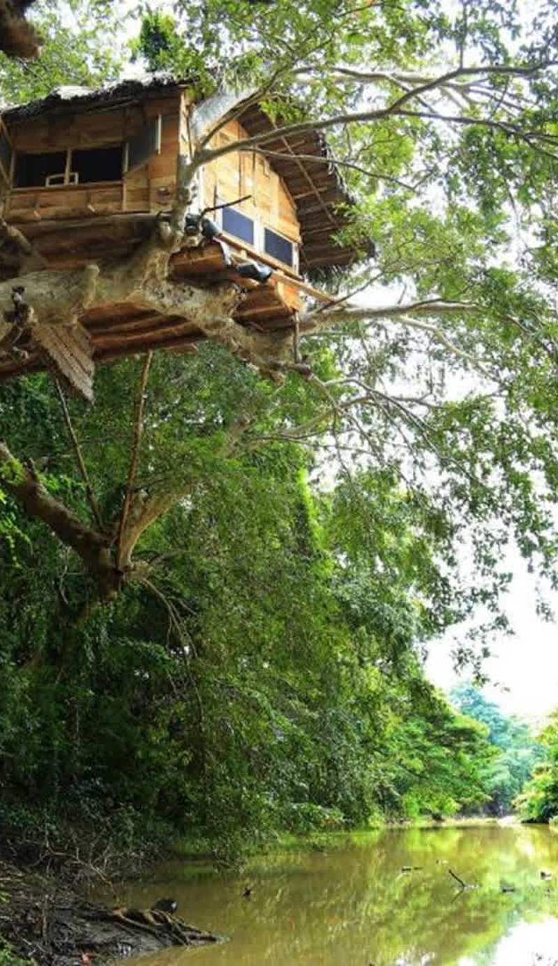 Yala Shenu Safari Tourist Inn