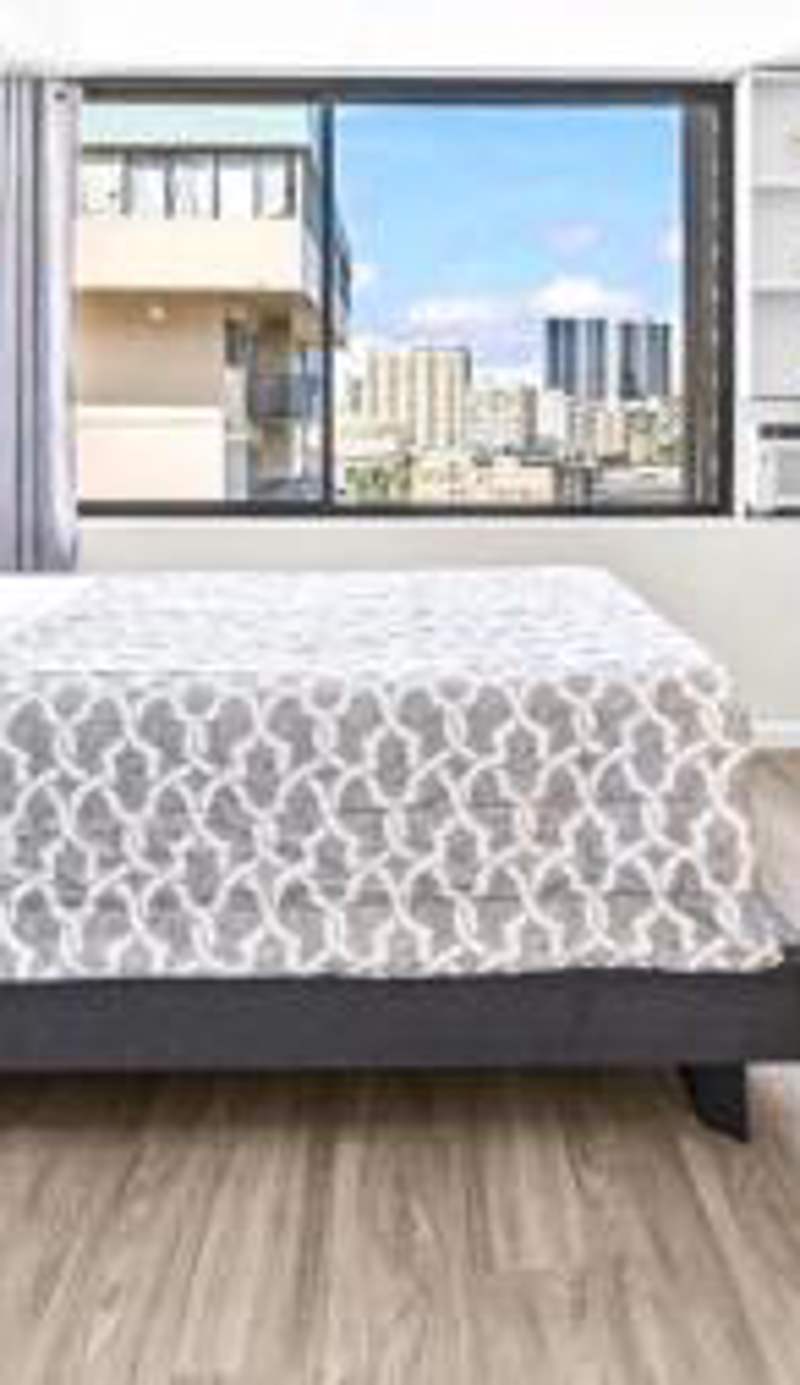 Hawaiian monarch cozy studio