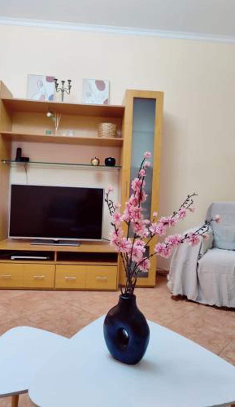 Apartment in Center
