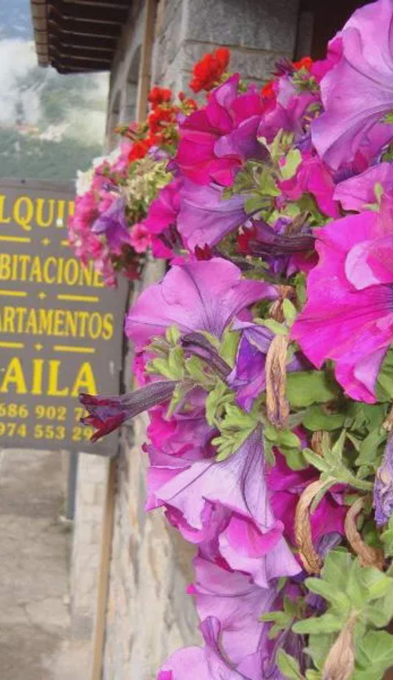 Apartamentos Saila