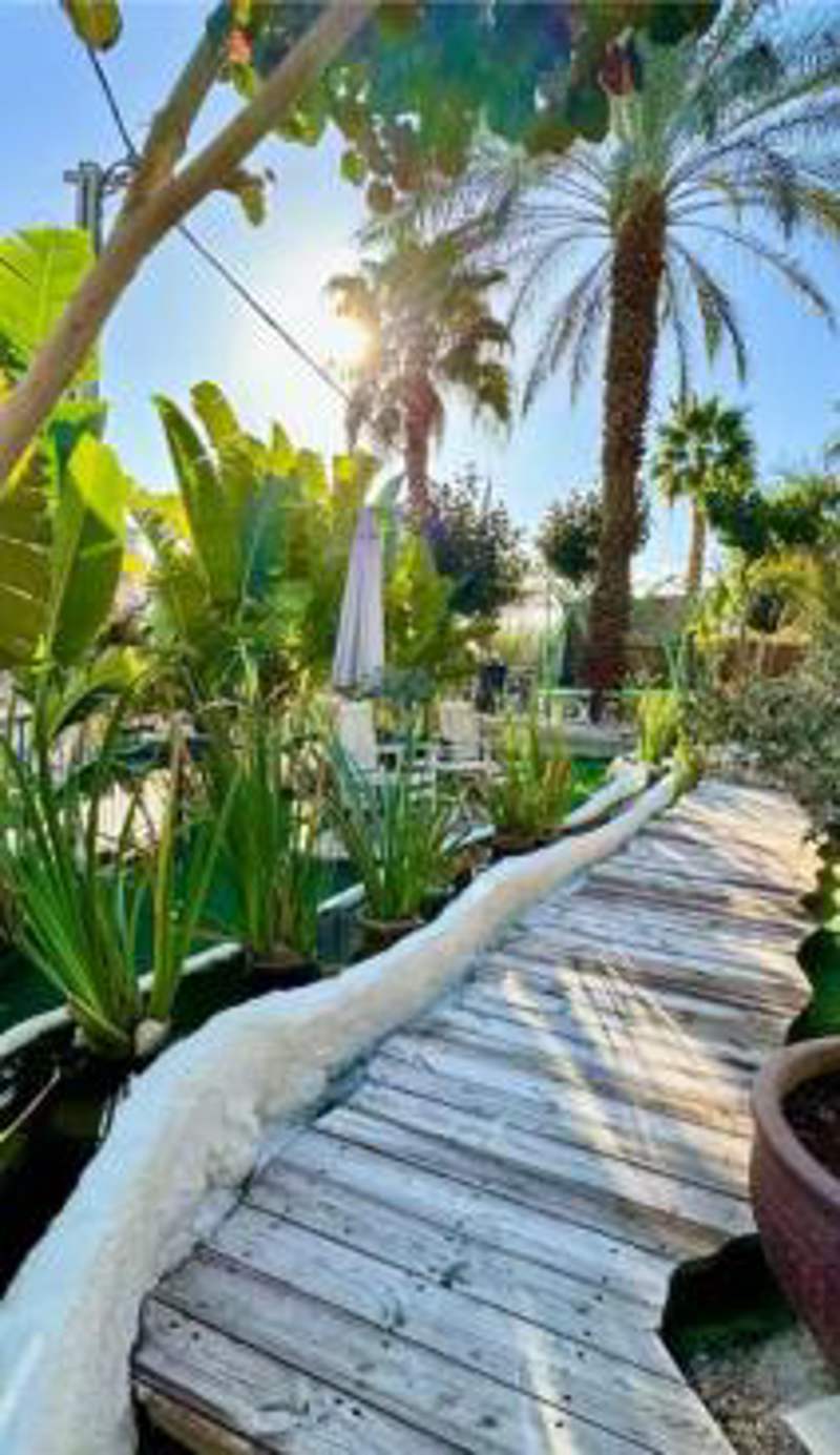 OASIS GARDEN