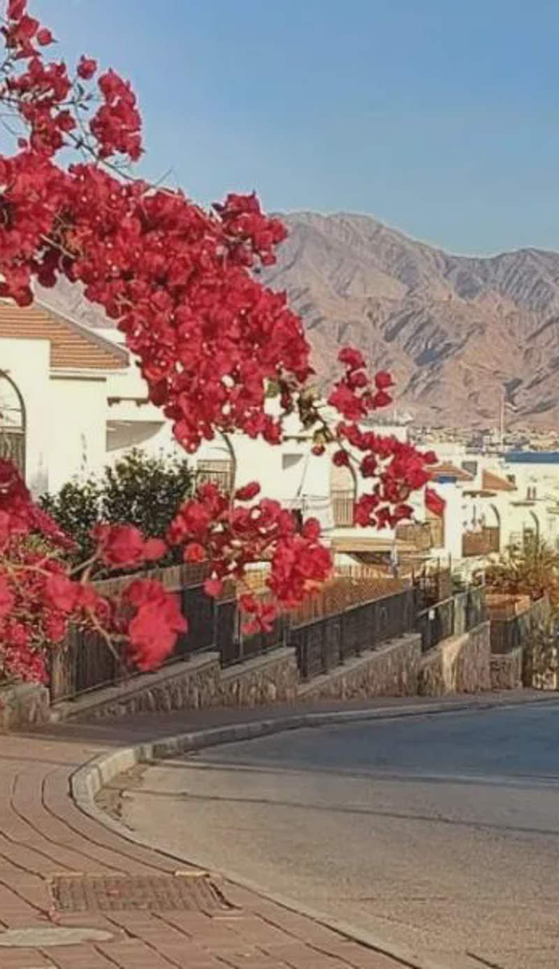 Apartment Amdar Village עם ממ"ד
